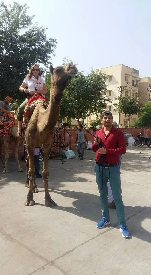 Tempo Traveller Gallery